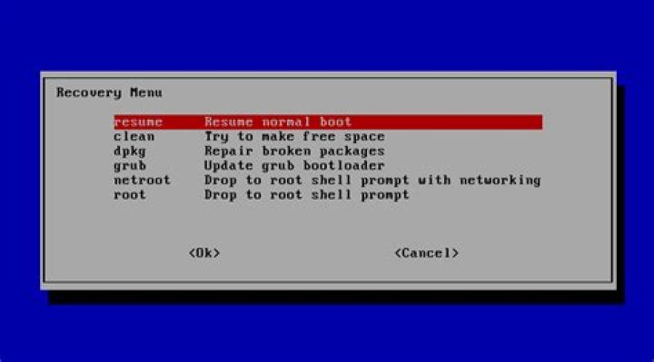 How to start a fail-safe graphics session? (with mouse & web browser)