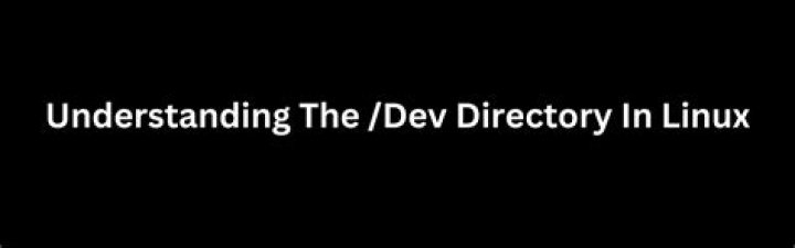 How to understand which device is which in the /dev directory