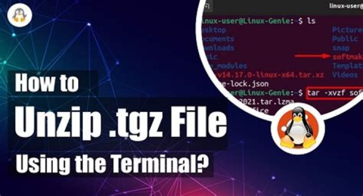 How to unzip .tgz file using the terminal? [duplicate]