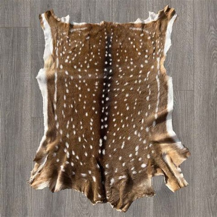 I can't craft leather from deer hide with Skyrim Requiem