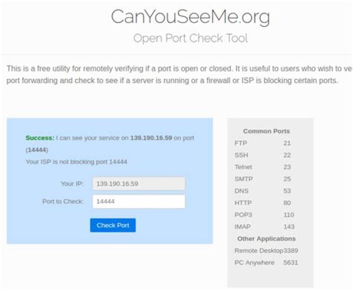I can see forwarded port on canyouseeme website, but not on NMAP scan?