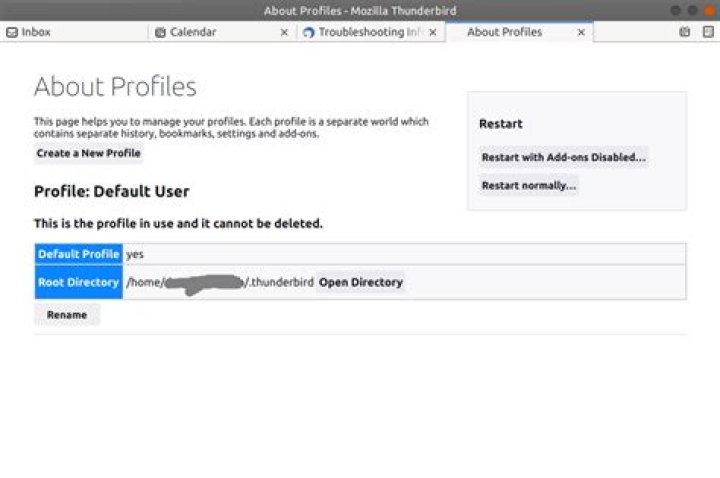 Import TB Profile from Apt TB78 to FlatpakTB91