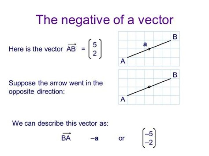 Inverse of a vector