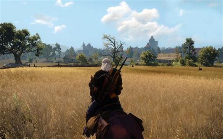 Is there a screenshot functionality in The Witcher 3?
