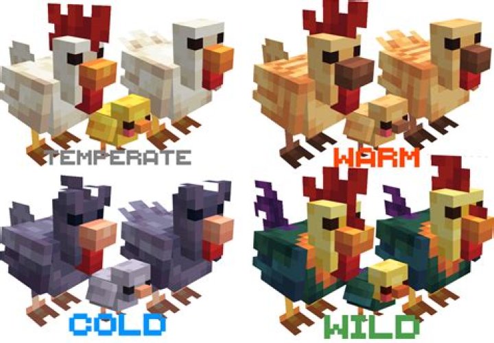 Is there a way to summon a large area of chickens in Minecraft?