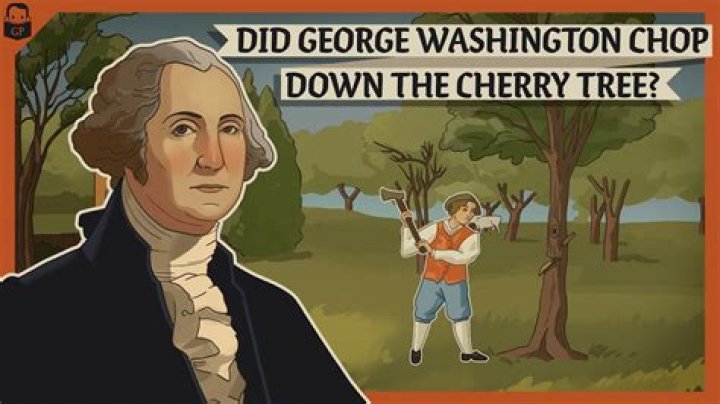 Is there any danger in chopping down every tree I see?