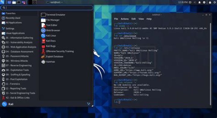 Kali Linux 2020.4 Not Going Into Monitor Mode