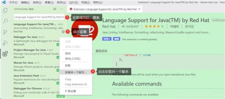 Language Support for Java(TM) by Red Hat