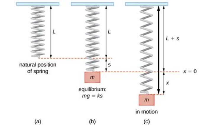 Maximum acceleration of mass at the end of a spring