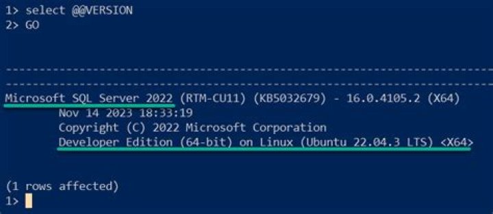 MSSQL on Ubuntu, can't get it to install?