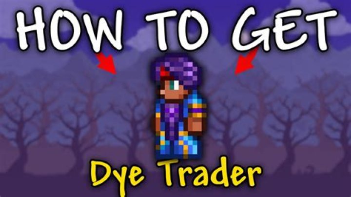 My Dye Trader Didn't Spawn