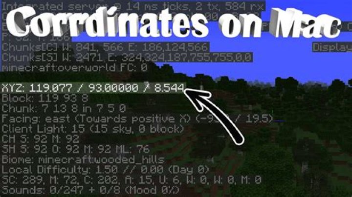 My laptop doesn't let me open coordinates in Minecraft