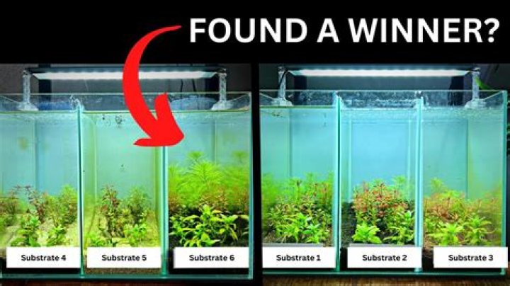 My minecraft fish just stay at the bottom of my aquarium and spin