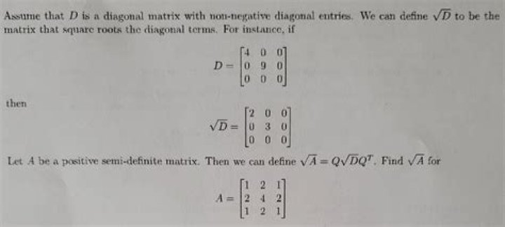 Name for a non-square matrix with ones along the main diagonal? [closed]
