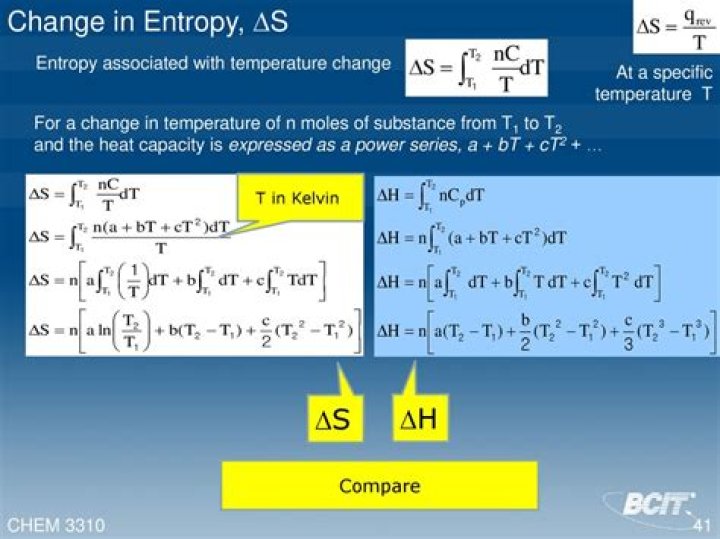 Oleinik's entropy condition, physical explanation