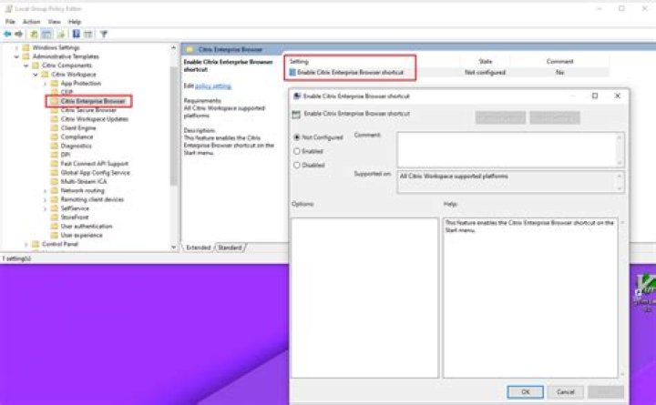 Problem with using remote desktop application via citrix web client