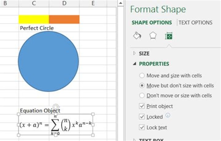 put an equation object in an excel cell?