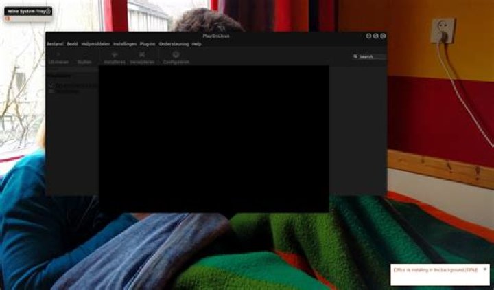 Question for wine and playonlinux