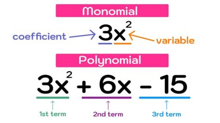 Question: What does "nonzero" polynomial mean?