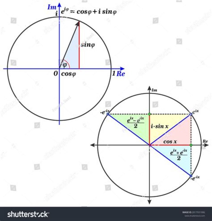 Relationship between sine and cosine in a circle [closed]