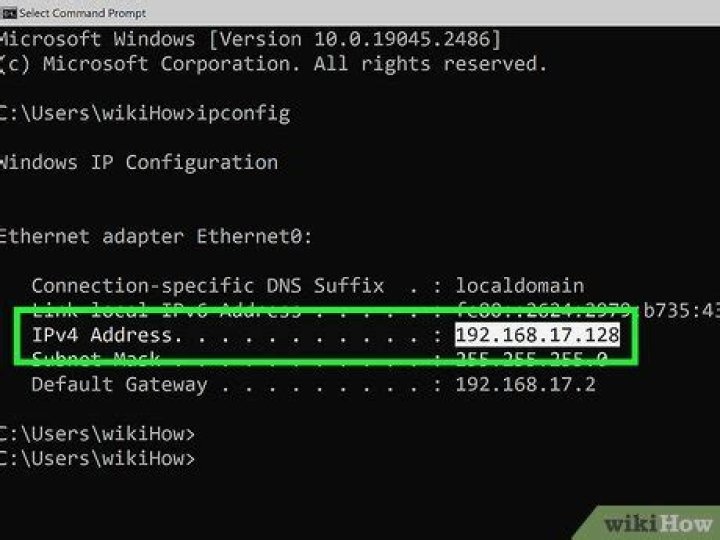 Replace server address by IP in wget