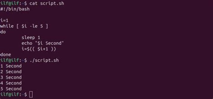 Running a Bash while loop over all similar files