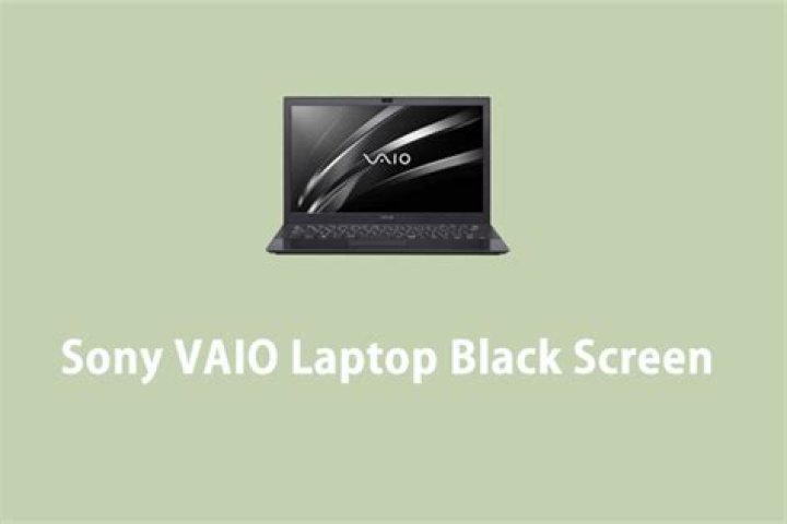 SONY VAIO Laptop black screen/no screen problem after OEM installing ubuntu 18.04.3 LTS