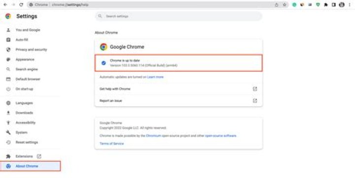 Start Google Chrome on Mac with command line switches