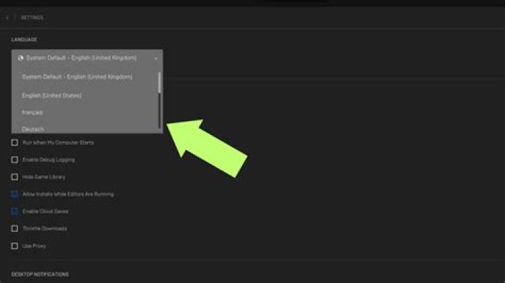 Steam didn't change language. After a reinstall, it doesn't even open