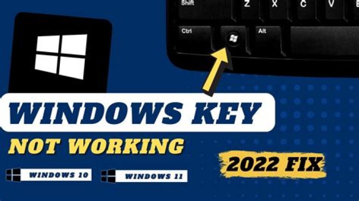 SUID not working?