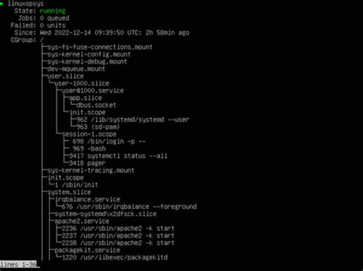 systemctl, how to unmask