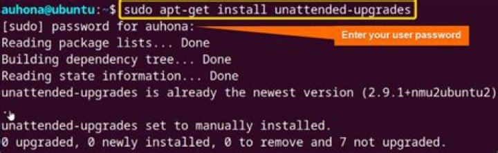 Terminate unattended-upgrades or whatever is using apt in ubuntu 18.04 or later editions