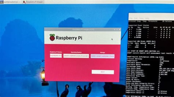 Ubuntu Server only using 200/500GB on SSD