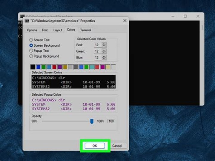 Unable to echo with different colors for batch file