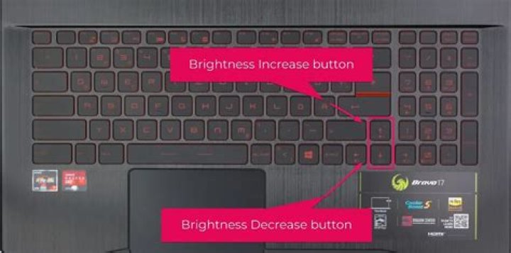 Unable to set backlight brightness on Dell laptop