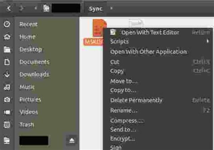 View images over active Linux SSH session