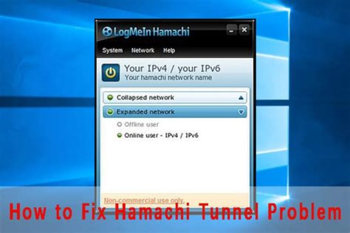 VirtualBox (Linux) not able to ping Windows' Hamachi network users