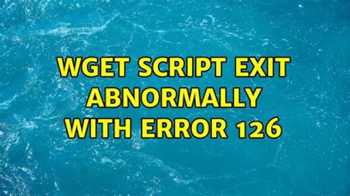 wget script exit abnormally with error 126