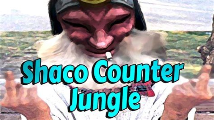 What are good ways to counter jungle an AP Shaco?