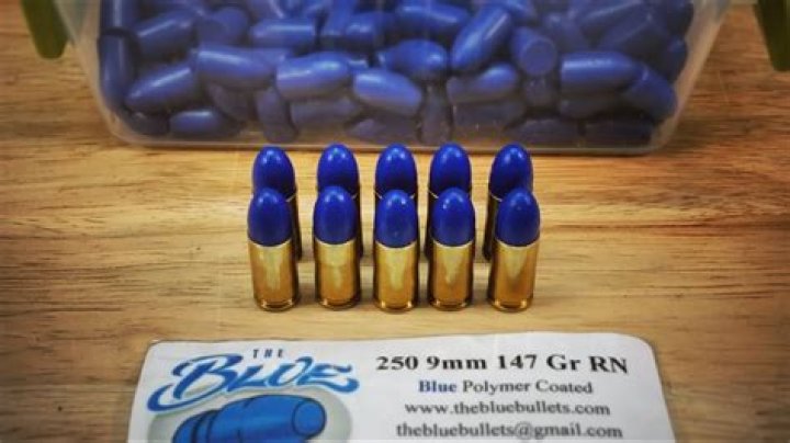 What are the blue bullets?