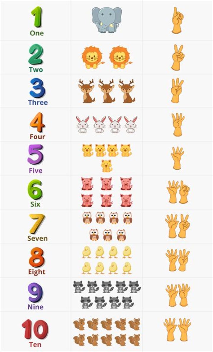 What is a counting number?