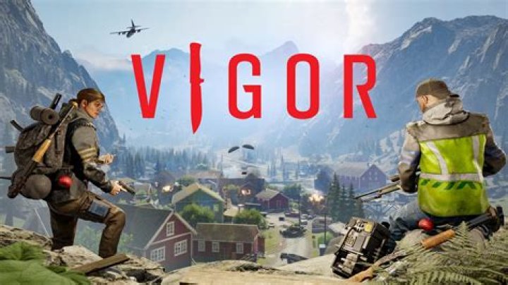 What is the Charge vigor good for?