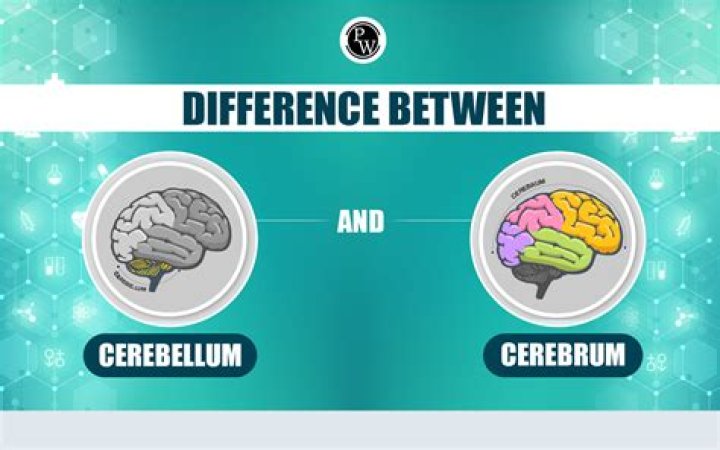 What is the difference betweem daemon-reload and reload?