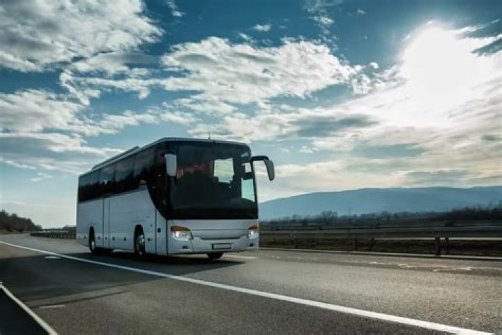 What is the fastest bus?