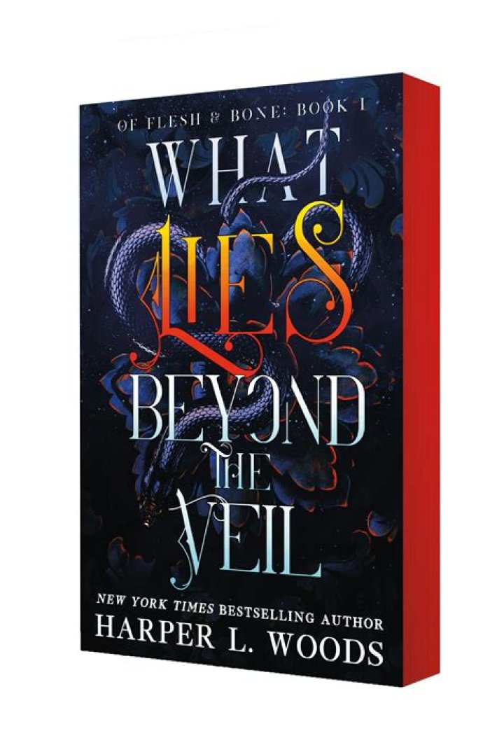 What lies beyond the Sedenions