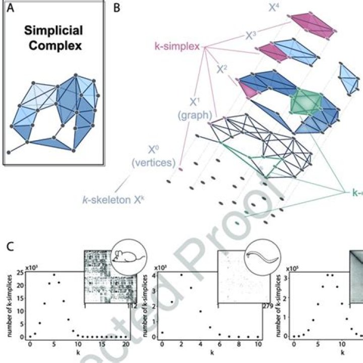 What meant by a $k$-chain in a simplicial complex?