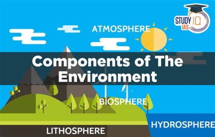 when do two elements of SO3 commute?