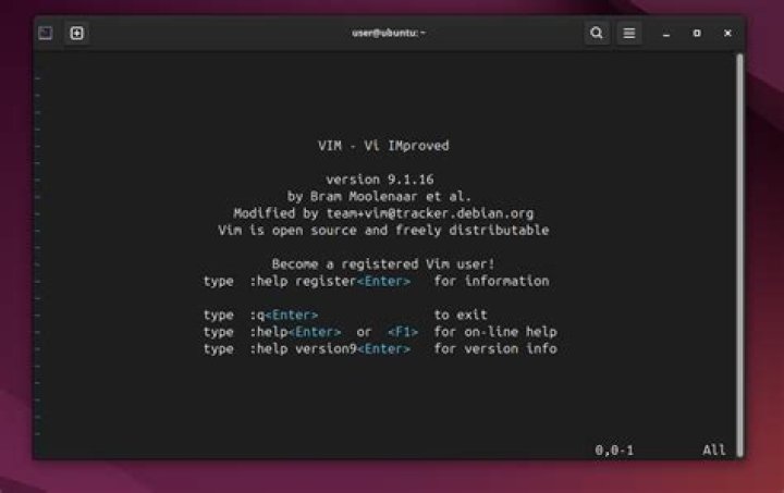When I press : in vim, it enters insert mode not command mode?