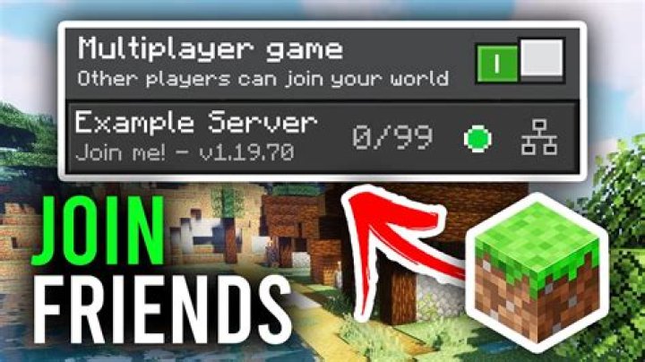 When playing multiplayer, whose resources do you see?