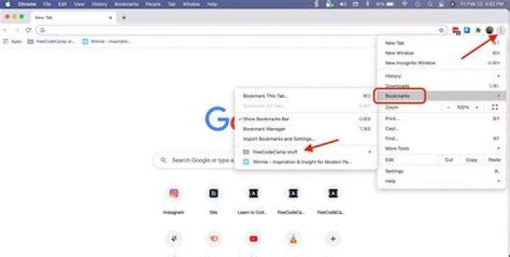 Where are the Chrome theme files saved?